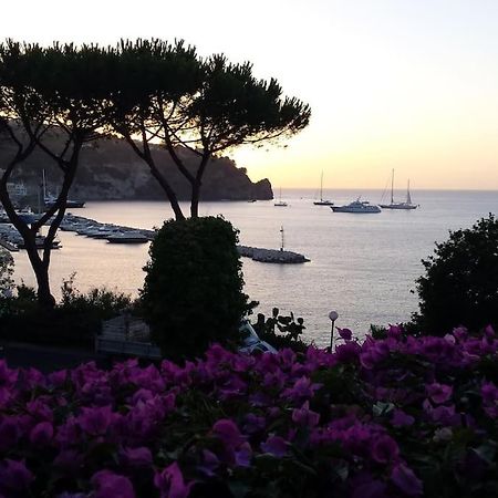 Giardino Mediterraneo Lacco Ameno  Zewnętrze zdjęcie