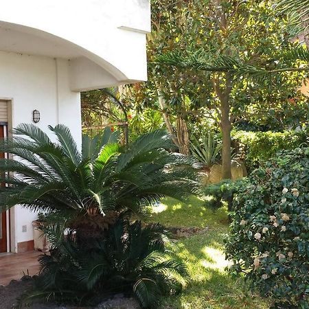 Giardino Mediterraneo Lacco Ameno  Zewnętrze zdjęcie