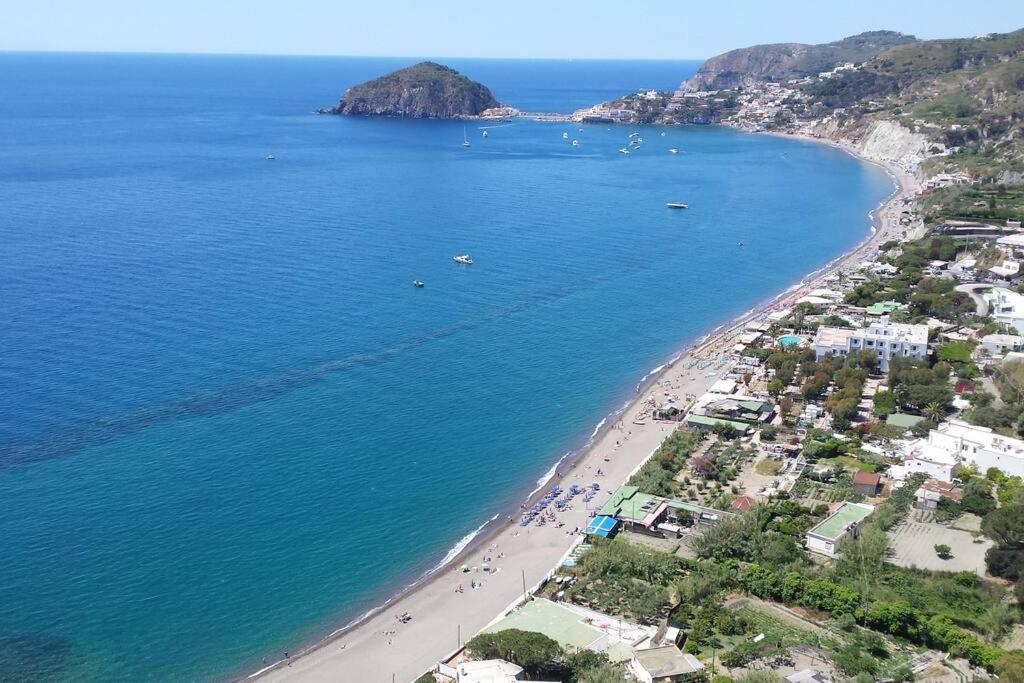 Giardino Mediterraneo Lacco Ameno  Zewnętrze zdjęcie