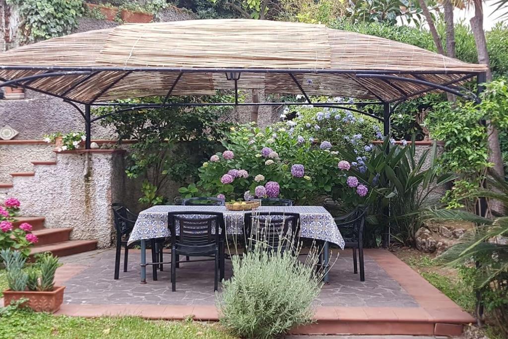 Giardino Mediterraneo Lacco Ameno  Zewnętrze zdjęcie