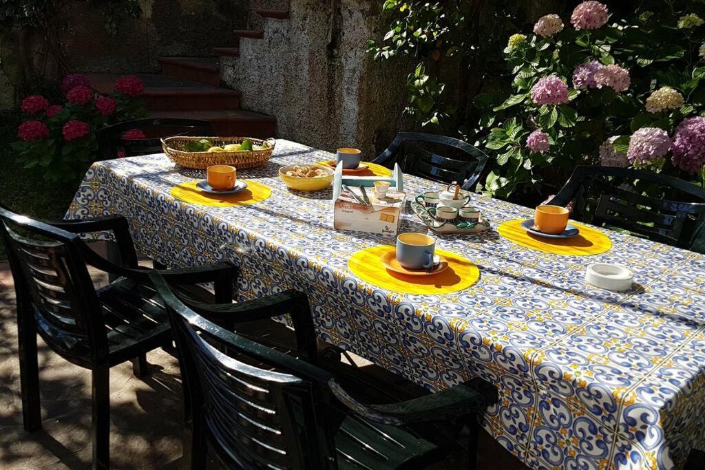 Giardino Mediterraneo Lacco Ameno  Zewnętrze zdjęcie