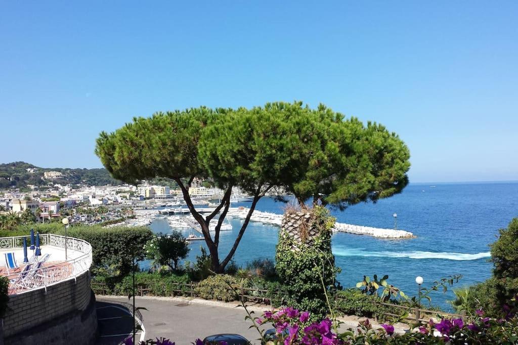 Giardino Mediterraneo Lacco Ameno  Zewnętrze zdjęcie