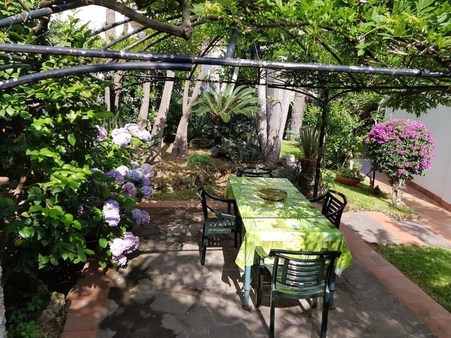 Giardino Mediterraneo Lacco Ameno  Zewnętrze zdjęcie