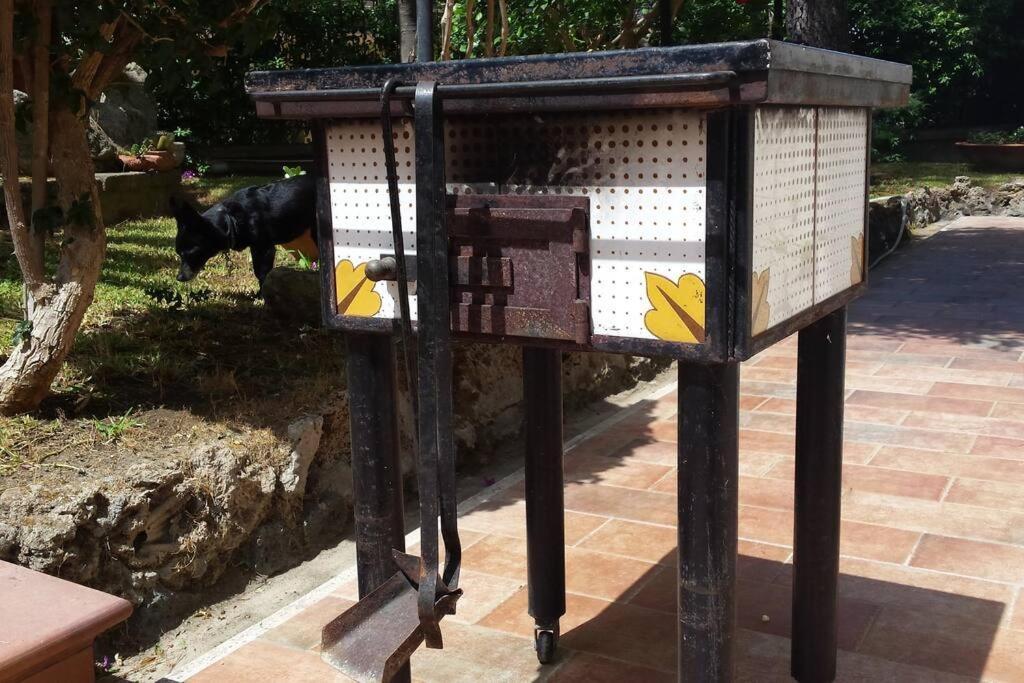 Giardino Mediterraneo Lacco Ameno  Zewnętrze zdjęcie