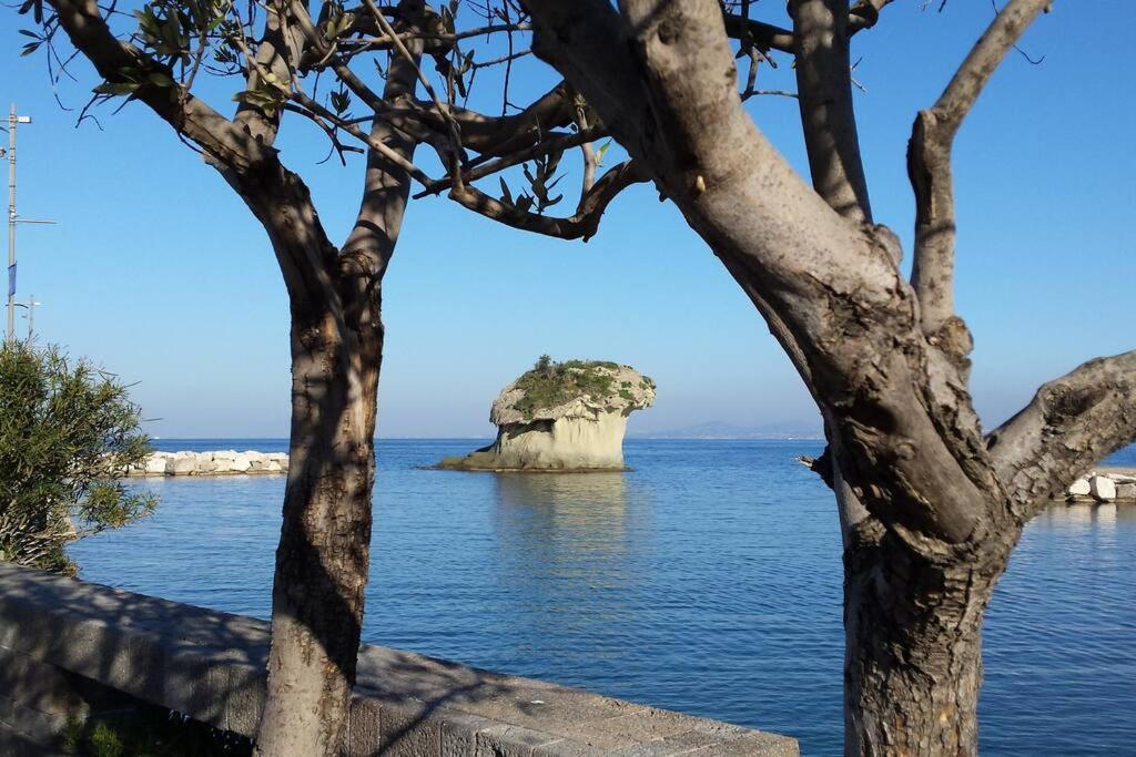 Giardino Mediterraneo Lacco Ameno  Zewnętrze zdjęcie