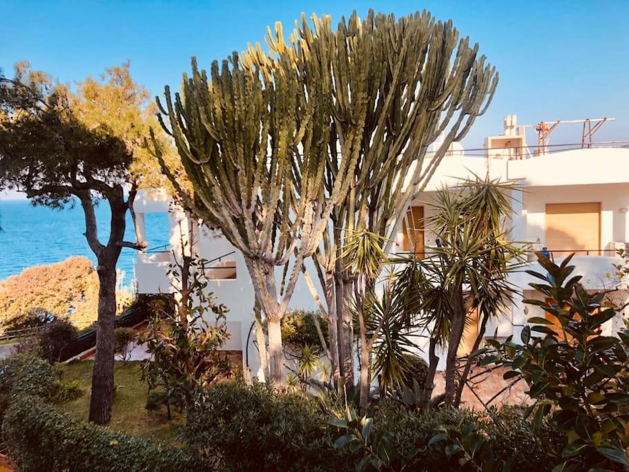 Giardino Mediterraneo Lacco Ameno  Zewnętrze zdjęcie