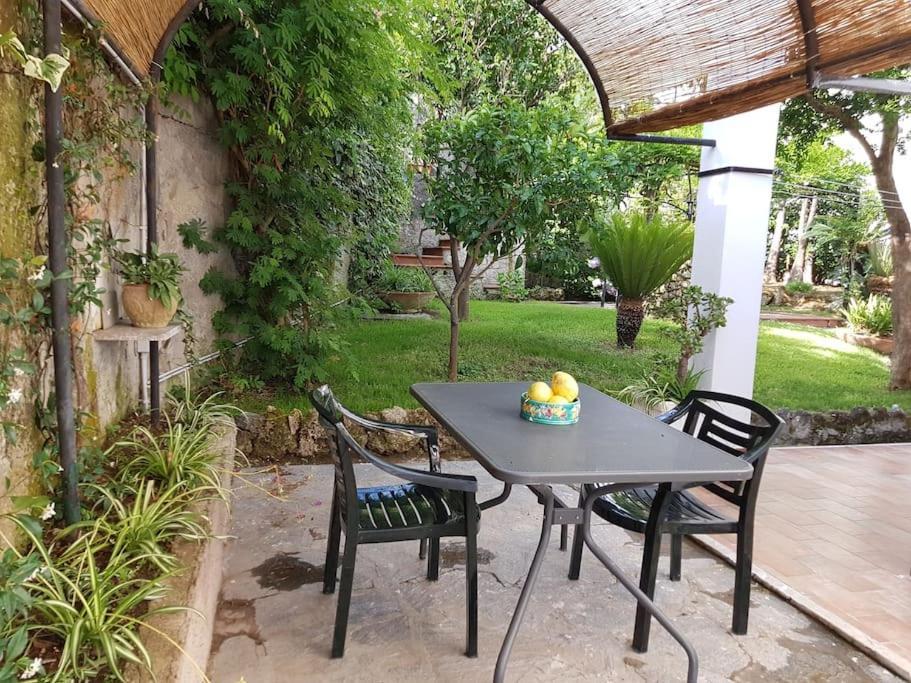 Giardino Mediterraneo Lacco Ameno  Zewnętrze zdjęcie