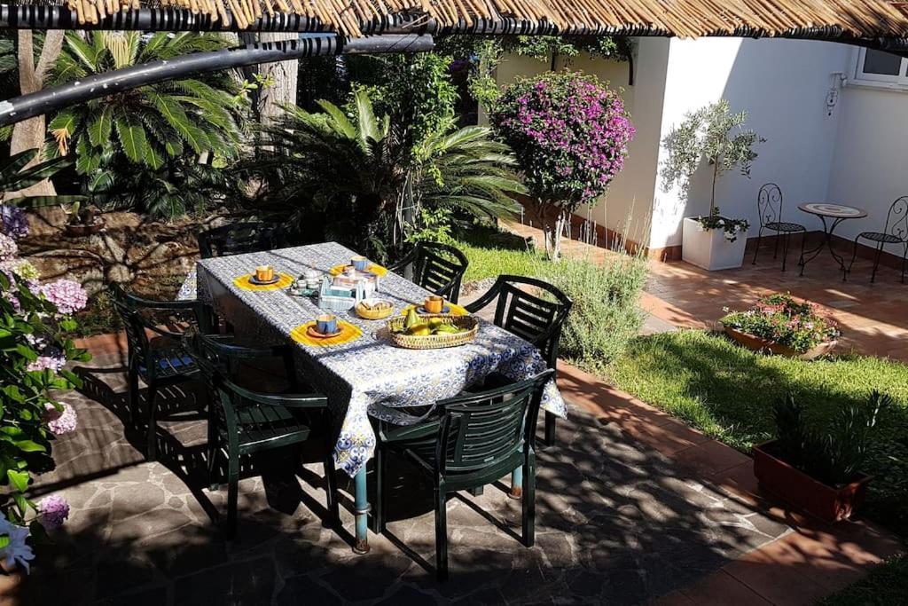 Giardino Mediterraneo Lacco Ameno  Zewnętrze zdjęcie