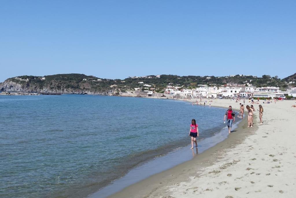 Giardino Mediterraneo Lacco Ameno  Zewnętrze zdjęcie