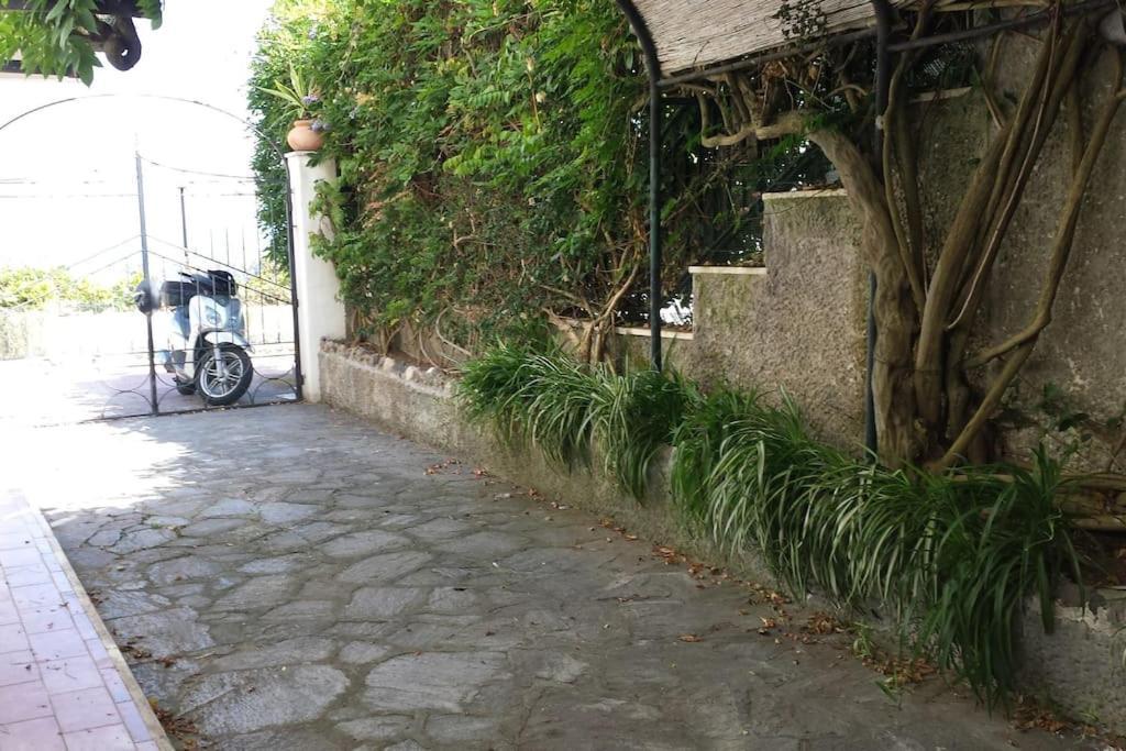 Giardino Mediterraneo Lacco Ameno  Zewnętrze zdjęcie